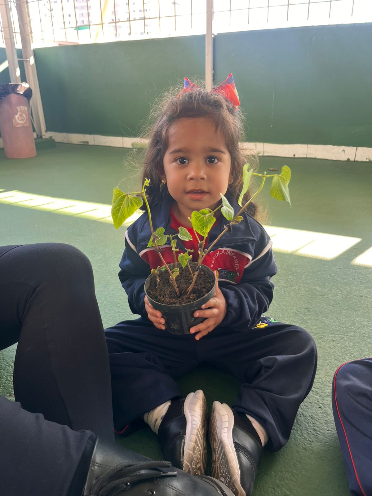 Sacolinha de Férias e o Pé de Feijão do Maternal II